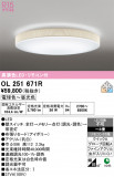 ODELIC �����ǥ�å� LED ������󥰥饤�� OL251671R�þ��ʾҲ�þ��������̿����䡦����ƥꥢ���������Ρڥ饤�ȥ��������