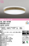 ODELIC �����ǥ�å� LED ������󥰥饤�� OL251672R�þ��ʾҲ�þ��������̿����䡦����ƥꥢ���������Ρڥ饤�ȥ��������