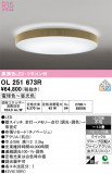 ODELIC �����ǥ�å� LED ������󥰥饤�� OL251673R�þ��ʾҲ�þ��������̿����䡦����ƥꥢ���������Ρڥ饤�ȥ��������