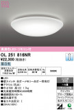 ODELIC �����ǥ�å� LED ������󥰥饤�� OL251816NR�þ��ʾҲ�þ��������̿����䡦����ƥꥢ���������Ρڥ饤�ȥ��������