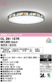 ODELIC �����ǥ�å� LED ������󥰥饤�� OL291157R�þ��ʾҲ�þ��������̿����䡦����ƥꥢ���������Ρڥ饤�ȥ��������