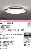 ODELIC �����ǥ�å� LED ������󥰥饤�� OL291319GR�þ��ʾҲ�þ��������̿����䡦����ƥꥢ���������Ρڥ饤�ȥ��������