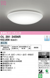 ODELIC �����ǥ�å� LED ������󥰥饤�� OL291345NR�þ��ʾҲ�þ��������̿����䡦����ƥꥢ���������Ρڥ饤�ȥ��������
