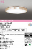 ODELIC �����ǥ�å� LED ������󥰥饤�� OL291504R�þ��ʾҲ�þ��������̿����䡦����ƥꥢ���������Ρڥ饤�ȥ��������