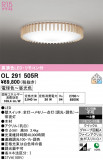 ODELIC �����ǥ�å� LED ������󥰥饤�� OL291505R�þ��ʾҲ�þ��������̿����䡦����ƥꥢ���������Ρڥ饤�ȥ��������