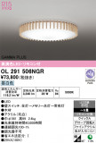 ODELIC �����ǥ�å� LED ������󥰥饤�� OL291506NGR�þ��ʾҲ�þ��������̿����䡦����ƥꥢ���������Ρڥ饤�ȥ��������