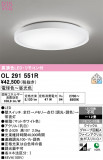 ODELIC �����ǥ�å� LED ������󥰥饤�� OL291551R�þ��ʾҲ�þ��������̿����䡦����ƥꥢ���������Ρڥ饤�ȥ��������