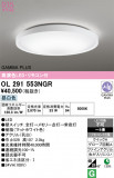 ODELIC �����ǥ�å� LED ������󥰥饤�� OL291553NGR�þ��ʾҲ�þ��������̿����䡦����ƥꥢ���������Ρڥ饤�ȥ��������