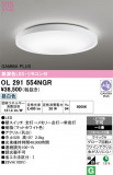 ODELIC �����ǥ�å� LED ������󥰥饤�� OL291554NGR�þ��ʾҲ�þ��������̿����䡦����ƥꥢ���������Ρڥ饤�ȥ��������