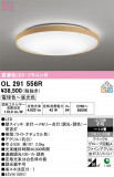 ODELIC �����ǥ�å� LED ������󥰥饤�� OL291556R�þ��ʾҲ�þ��������̿����䡦����ƥꥢ���������Ρڥ饤�ȥ��������