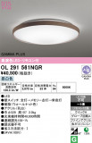 ODELIC �����ǥ�å� LED ������󥰥饤�� OL291561NGR�þ��ʾҲ�þ��������̿����䡦����ƥꥢ���������Ρڥ饤�ȥ��������