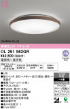 ODELIC �����ǥ�å� LED ������󥰥饤�� OL291562GR�þ��ʾҲ�þ��������̿����䡦����ƥꥢ���������Ρڥ饤�ȥ��������