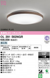 ODELIC �����ǥ�å� LED ������󥰥饤�� OL291562NGR�þ��ʾҲ�þ��������̿����䡦����ƥꥢ���������Ρڥ饤�ȥ��������