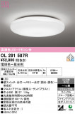 ODELIC �����ǥ�å� LED ������󥰥饤�� OL291587R�þ��ʾҲ�þ��������̿����䡦����ƥꥢ���������Ρڥ饤�ȥ��������