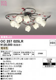 ODELIC �����ǥ�å� LED �����ǥꥢ OC257025LR�þ��ʾҲ�þ��������̿����䡦����ƥꥢ���������Ρڥ饤�ȥ��������