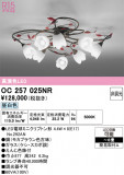 ODELIC �����ǥ�å� LED �����ǥꥢ OC257025NR�þ��ʾҲ�þ��������̿����䡦����ƥꥢ���������Ρڥ饤�ȥ��������