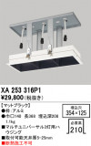 ODELIC �����ǥ�å� �ܹ����ʡ����եѡ��� XA253316P1�þ��ʾҲ�þ��������̿����䡦����ƥꥢ���������Ρڥ饤�ȥ��������