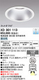 ODELIC �����ǥ�å� LED ������饤�� XD301113�þ��ʾҲ�þ��������̿����䡦����ƥꥢ���������Ρڥ饤�ȥ��������