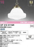ODELIC �����ǥ�å� LED �ڥ����ȥ饤�� OP210571NR�þ��ʾҲ�þ��������̿����䡦����ƥꥢ���������Ρڥ饤�ȥ��������