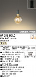 ODELIC �����ǥ�å� LED �ڥ����ȥ饤�� OP252343LC1�þ��ʾҲ�þ��������̿����䡦����ƥꥢ���������Ρڥ饤�ȥ��������