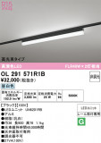 ODELIC �����ǥ�å� LED �١����饤�� OL291571R1B�þ��ʾҲ�þ��������̿����䡦����ƥꥢ���������Ρڥ饤�ȥ��������