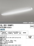 ODELIC �����ǥ�å� LED �١����饤�� XL251538P1�þ��ʾҲ�þ��������̿����䡦����ƥꥢ���������Ρڥ饤�ȥ��������