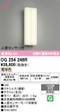 ODELIC �����ǥ�å� LED �������ƥꥢ�饤�� OG254246R�þ��ʾҲ�þ��������̿����䡦����ƥꥢ���������Ρڥ饤�ȥ��������
