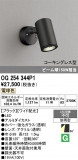 ODELIC �����ǥ�å� LED �������ƥꥢ�饤�� OG254344P1�þ��ʾҲ�þ��������̿����䡦����ƥꥢ���������Ρڥ饤�ȥ��������
