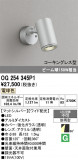 ODELIC �����ǥ�å� LED �������ƥꥢ�饤�� OG254345P1�þ��ʾҲ�þ��������̿����䡦����ƥꥢ���������Ρڥ饤�ȥ��������
