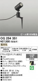 ODELIC �����ǥ�å� LED �������ƥꥢ�饤�� OG254351�þ��ʾҲ�þ��������̿����䡦����ƥꥢ���������Ρڥ饤�ȥ��������