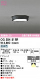 ODELIC �����ǥ�å� LED �������ƥꥢ�饤�� OG254517R�þ��ʾҲ�þ��������̿����䡦����ƥꥢ���������Ρڥ饤�ȥ��������
