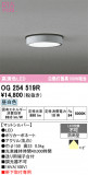 ODELIC �����ǥ�å� LED �������ƥꥢ�饤�� OG254519R�þ��ʾҲ�þ��������̿����䡦����ƥꥢ���������Ρڥ饤�ȥ��������