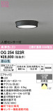 ODELIC �����ǥ�å� LED �������ƥꥢ�饤�� OG254523R�þ��ʾҲ�þ��������̿����䡦����ƥꥢ���������Ρڥ饤�ȥ��������