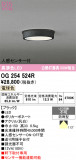 ODELIC �����ǥ�å� LED �������ƥꥢ�饤�� OG254524R�þ��ʾҲ�þ��������̿����䡦����ƥꥢ���������Ρڥ饤�ȥ��������