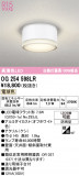 ODELIC �����ǥ�å� LED �������ƥꥢ�饤�� OG254598LR�þ��ʾҲ�þ��������̿����䡦����ƥꥢ���������Ρڥ饤�ȥ��������