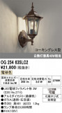 ODELIC �����ǥ�å� LED �������ƥꥢ�饤�� OG254635LC2�þ��ʾҲ�þ��������̿����䡦����ƥꥢ���������Ρڥ饤�ȥ��������
