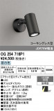 ODELIC �����ǥ�å� LED �������ƥꥢ�饤�� OG254716P1�þ��ʾҲ�þ��������̿����䡦����ƥꥢ���������Ρڥ饤�ȥ��������