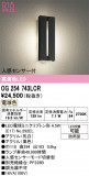 ODELIC �����ǥ�å� LED �������ƥꥢ�饤�� OG254743LCR�þ��ʾҲ�þ��������̿����䡦����ƥꥢ���������Ρڥ饤�ȥ��������