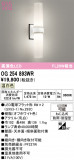 ODELIC �����ǥ�å� LED �������ƥꥢ�饤�� OG254893WR�þ��ʾҲ�þ��������̿����䡦����ƥꥢ���������Ρڥ饤�ȥ��������