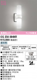 ODELIC �����ǥ�å� LED �������ƥꥢ�饤�� OG254894NR�þ��ʾҲ�þ��������̿����䡦����ƥꥢ���������Ρڥ饤�ȥ��������