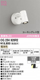 ODELIC �����ǥ�å� LED �������ƥꥢ�饤�� OG254926R2�þ��ʾҲ�þ��������̿����䡦����ƥꥢ���������Ρڥ饤�ȥ��������