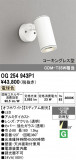 ODELIC �����ǥ�å� LED �������ƥꥢ�饤�� OG254943P1�þ��ʾҲ�þ��������̿����䡦����ƥꥢ���������Ρڥ饤�ȥ��������