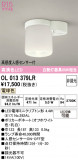 ODELIC �����ǥ�å� LED ����������󥰥饤�� OL013379LR�þ��ʾҲ�þ��������̿����䡦����ƥꥢ���������Ρڥ饤�ȥ��������