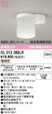 ODELIC �����ǥ�å� LED ����������󥰥饤�� OL013380LR�þ��ʾҲ�þ��������̿����䡦����ƥꥢ���������Ρڥ饤�ȥ��������