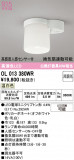 ODELIC �����ǥ�å� LED ����������󥰥饤�� OL013380WR�þ��ʾҲ�þ��������̿����䡦����ƥꥢ���������Ρڥ饤�ȥ��������
