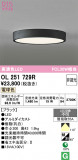 ODELIC �����ǥ�å� LED ����������󥰥饤�� OL251729R�þ��ʾҲ�þ��������̿����䡦����ƥꥢ���������Ρڥ饤�ȥ��������