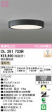 ODELIC �����ǥ�å� LED ����������󥰥饤�� OL251733R�þ��ʾҲ�þ��������̿����䡦����ƥꥢ���������Ρڥ饤�ȥ��������