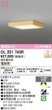 ODELIC �����ǥ�å� LED ����������󥰥饤�� OL251743R�þ��ʾҲ�þ��������̿����䡦����ƥꥢ���������Ρڥ饤�ȥ��������