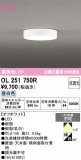 ODELIC �����ǥ�å� LED ����������󥰥饤�� OL251750R�þ��ʾҲ�þ��������̿����䡦����ƥꥢ���������Ρڥ饤�ȥ��������