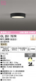 ODELIC �����ǥ�å� LED ����������󥰥饤�� OL251757R�þ��ʾҲ�þ��������̿����䡦����ƥꥢ���������Ρڥ饤�ȥ��������